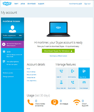 Download skype for windows