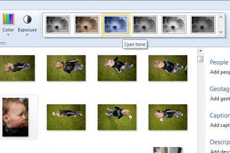 Windows live photo gallery effects section