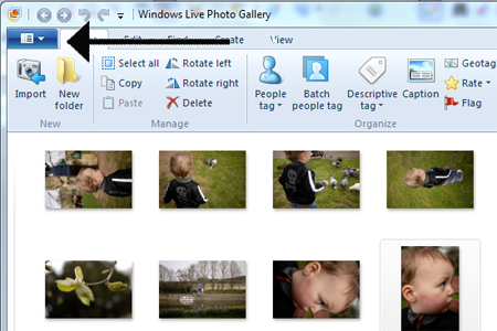 Windows live photo gallery icon