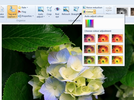 Colour button